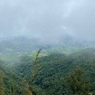 ดอยจิกจ้อง