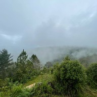 ดอยจิกจ้อง