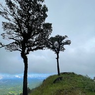 ดอยจิกจ้อง