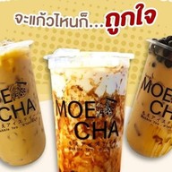 MEOCHA - ไทวัสดุ สาขาสกลนคร