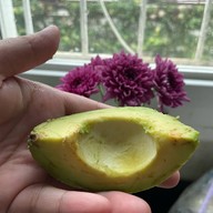 ไร่ชรินทร์พรรณ เซ็นทรัลเชียงใหม่