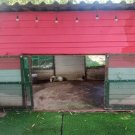 บรรยากาศ Rabbit Cafe Salaya