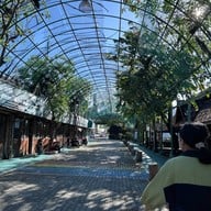 ตลาดน้ำ 4 ภาค