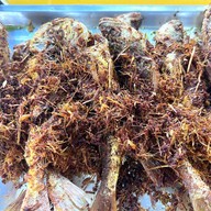 กินเจกัน ดอนเมือง