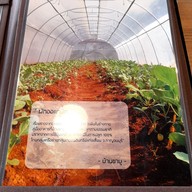 เมนู บ้านชาบู สาขาตัวเมืองกาญจนบุรี