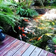 ศรีวรา บิสโทร แอนด์ คาเฟ่