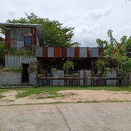 Freewill Natural Inspires