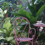 Zen Cafe & Bistro (by Hakk Foundation)