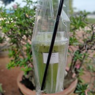 เมนู กาแฟ ปันปาย&ปังปิ้ง