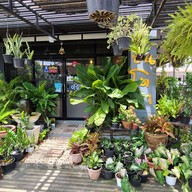 หมูปิ้ง ไก่ทอดกรอบ (Suntosa Cafe)