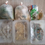 ราดหน้า ป๋าอู๊ดราดหน้ายอดผัก ดินแดง ป๋าอู๊ดราดหน้ายอดผัก ดินแดง