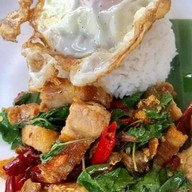 กะเพราขุนช้าง สันโค้งน้อย เชียงราย