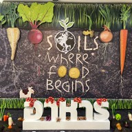 พิพิธภัณฑ์ดิน