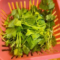 เมนูของร้าน ซุ้ม2 หมูจุ่ม  สาขา10