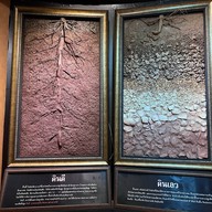 พิพิธภัณฑ์ดิน