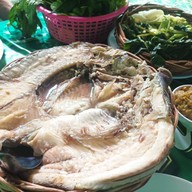 ร้านไผ่ลาบเป็ด
