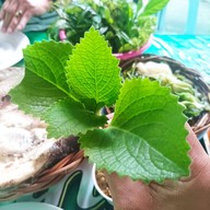 ร้านไผ่ลาบเป็ด