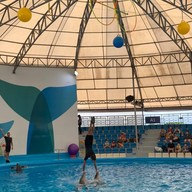 Pattaya Dolphinarium