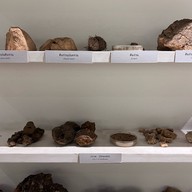 พิพิธภัณฑ์ดิน