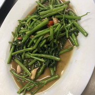 อาหารป่า กระเพราหมูกรอบ ผัดเผ็ดปลาไหล ครัวสายสมรอาหารป่า สาขา 2