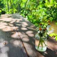 Summer Green ลับแล