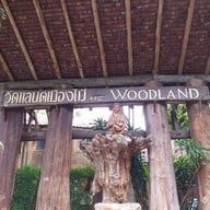 Wood land เมืองไม้