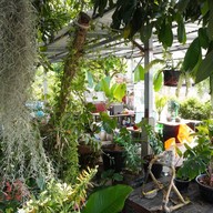 บรรยากาศ ร้านศรีมอยยย ลักสอยบะก๋วยเตดด