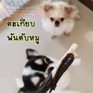 ขนมเพื่อนสี่ขา ขนมหมา (บางบัวทอง)