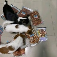 ขนมเพื่อนสี่ขา ขนมหมา (บางบัวทอง)