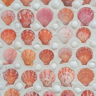 สำนักสงฆ์พุน้ำร้อน