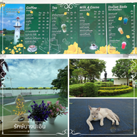 บรรยากาศ รักษ์บางปะอินคาเฟ่