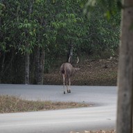 17 Degree เขาใหญ่