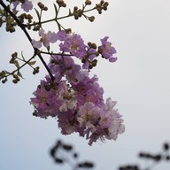 17 Degree เขาใหญ่