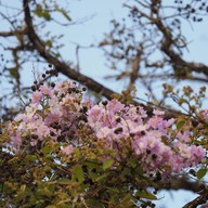 17 Degree เขาใหญ่