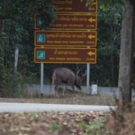 17 Degree เขาใหญ่