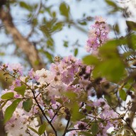 17 Degree เขาใหญ่