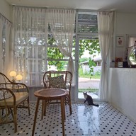 Thammada ธรรมดา