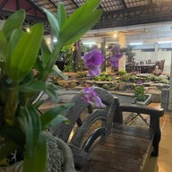 เรือนแก้วปลาเผานางรอง เรือนแก้วปลาเผานางรอง