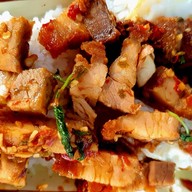 กะเพราช้างเผือกโภชนา รัชดา 17