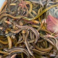 ตลาดน้ำโบราณบางพลี