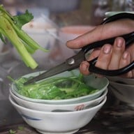 เตี้ย เย็นตาโฟ