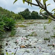 วัดสุวรรณภูมิพุทธชยันตี