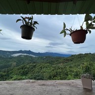 ขุนเขา ทะเลหมอก