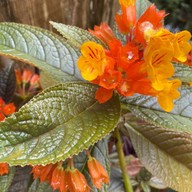 ท่าปอม คลองสองน้ำ