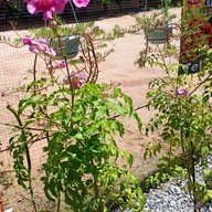 8up5House cafe'&cafe' บ้านไร่ บ้านจั่น