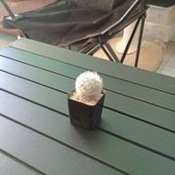 8up5House cafe'&cafe' บ้านไร่ บ้านจั่น