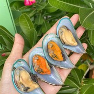 กินเล่น บนคอนโด รีเจ้นท์โฮม บางซ่อน