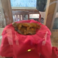 ศูนย์อนุรักษ์แมวไทยโบราณ