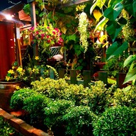 เมนูของร้าน บ้านไม้ชายคลองสาขลาCafe&Seafood