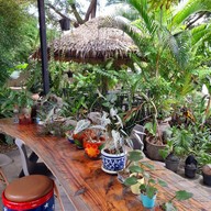 บรรยากาศ กาแฟเสือ เมืองเพชรบุรี